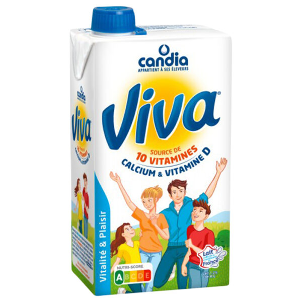 LAIT VIVA 1L X 6