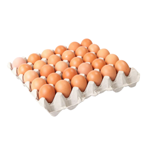 LES OEUFS